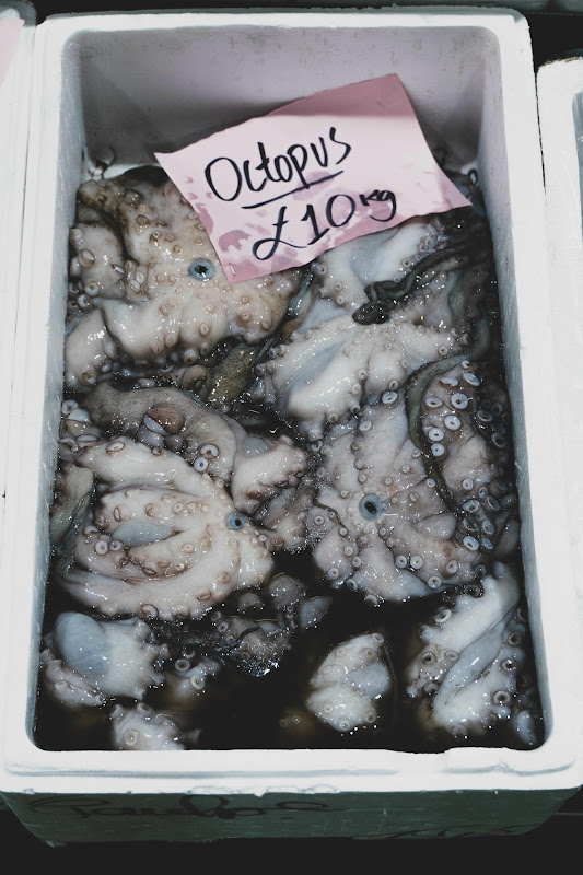 Octopus at Billingsgate Fish Market, London