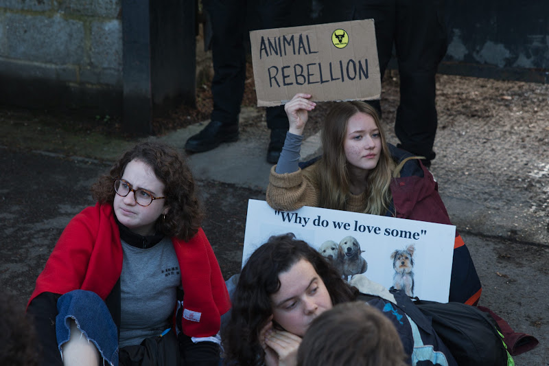 Activist Holding An Animal Rebellion Sign
