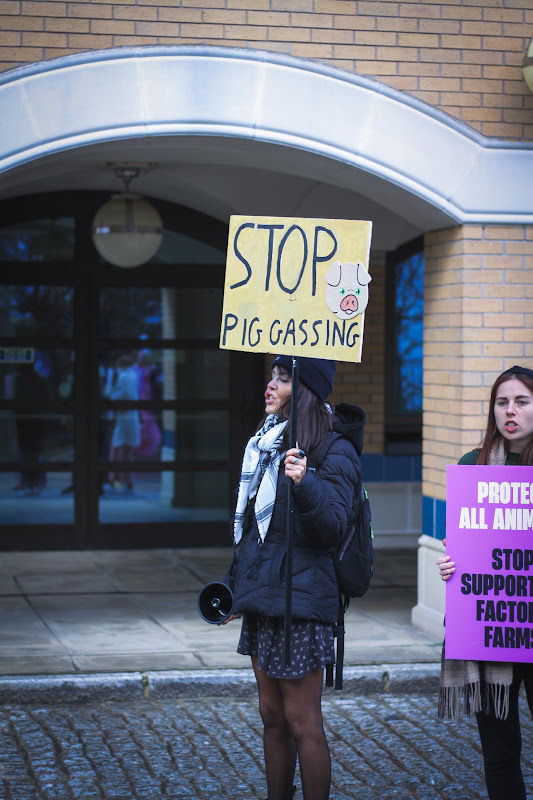 Activist holding placard: 'Stop gassing pigs'