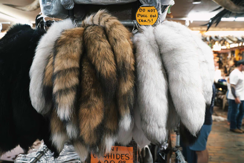 Racoon and Fox Tails