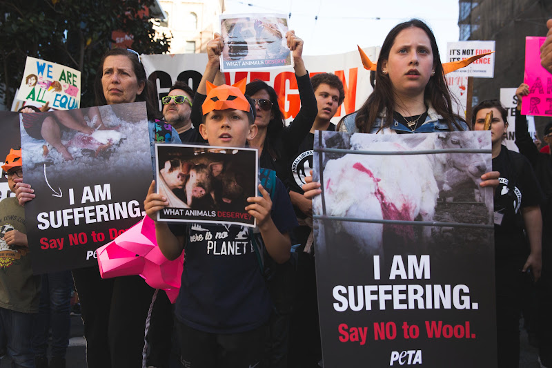 ALC Animal Rights March - San Francisco, USA