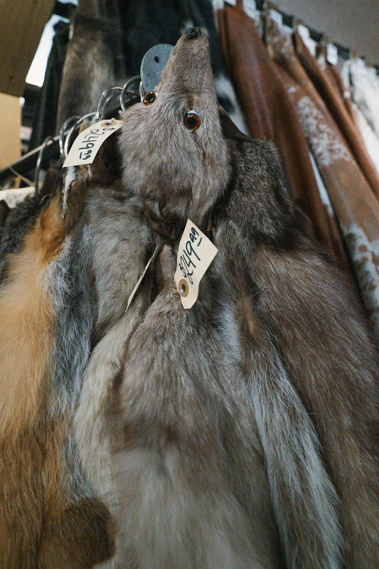 Fox Fur Close-Up