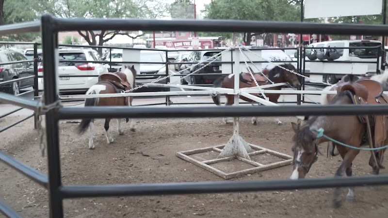 Pony Merry-Go-Around At Fort Worth Stockyards