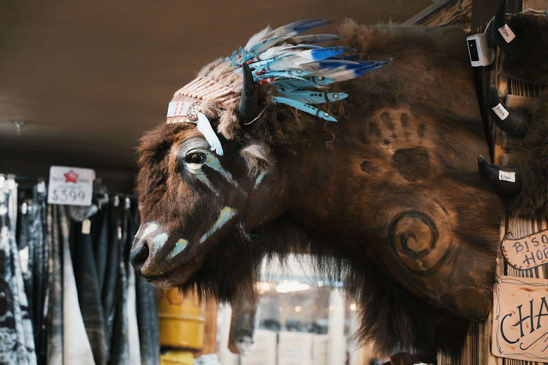 Decorated Taxidermy Bison Head
