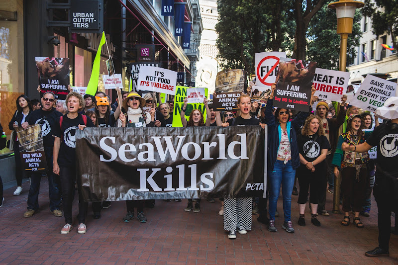 Seaworld Kills - ALC Animal Rights March - San Francisco, USA