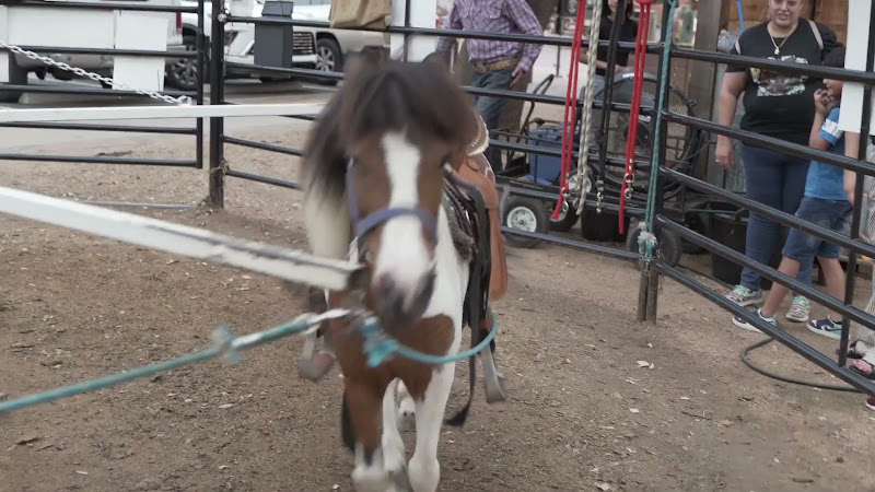 Pony Merry-Go-Around At Fort Worth Stockyards