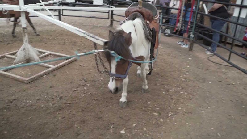 Pony Merry-Go-Around At Fort Worth Stockyards