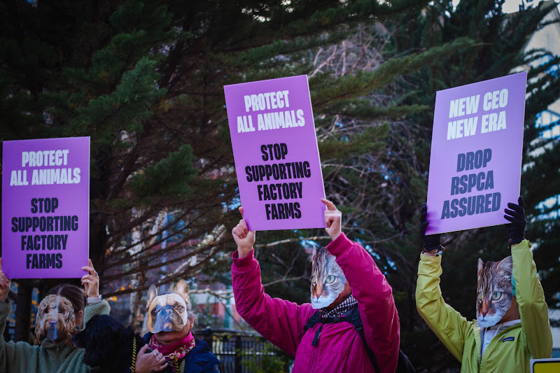 Protestors holding placards: 'Stop supporting factory farms'