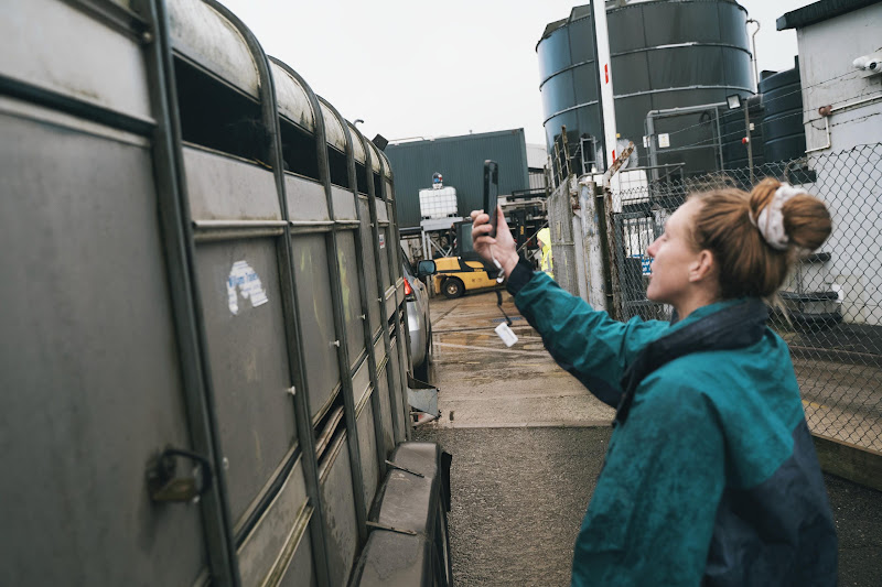 Activist films slaughter truck