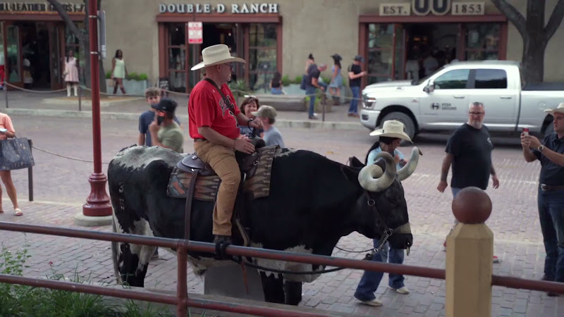 Man Sat On Longhorn Cow