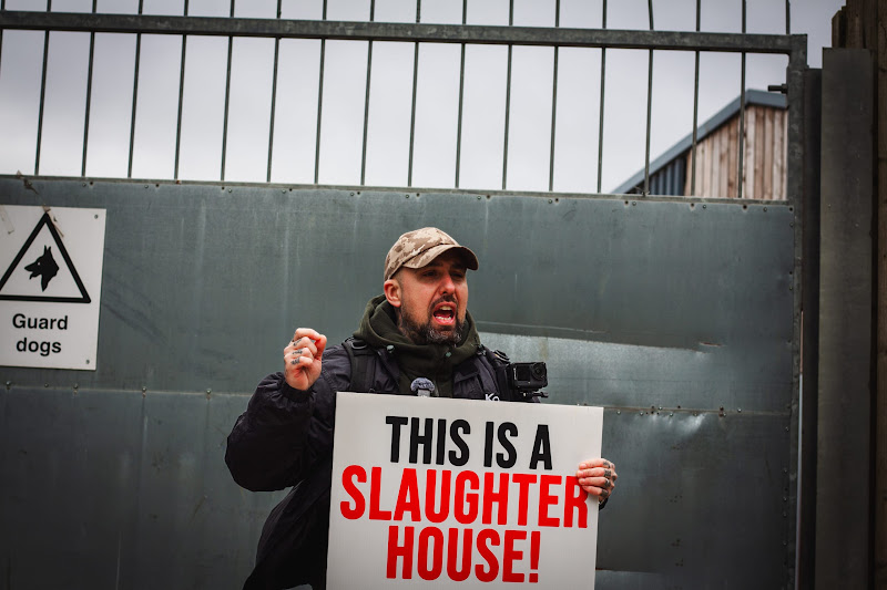 Activist livestreaming at slaughterhouse
