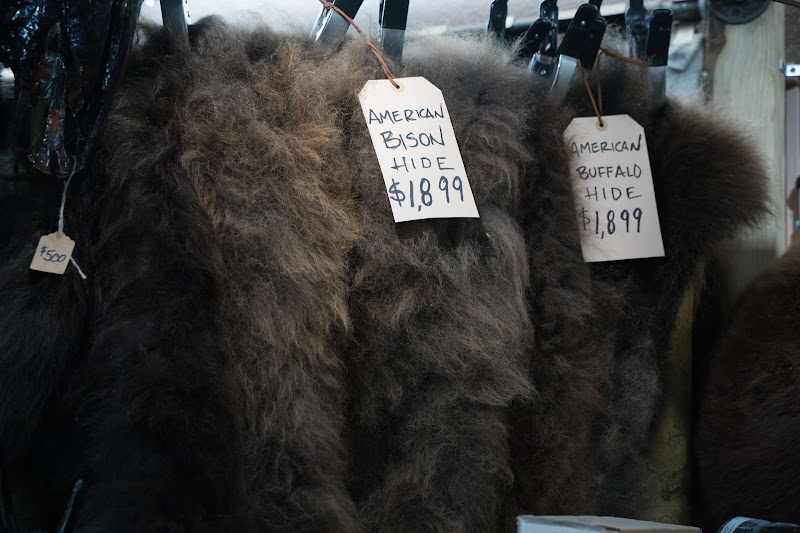 American Bison Hide