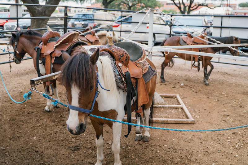 Ponies Attached To Merry-Go-Round