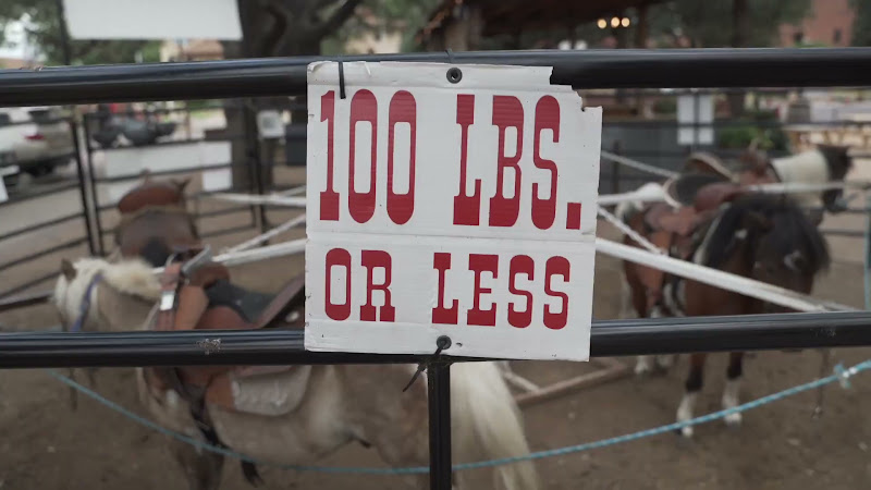 Weight Limit Sign For Pony Merry-Go-Around At Fort Worth Stockyards