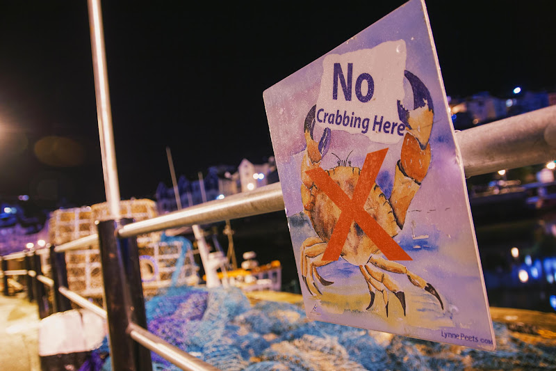 "No Crabbing Here" Sign