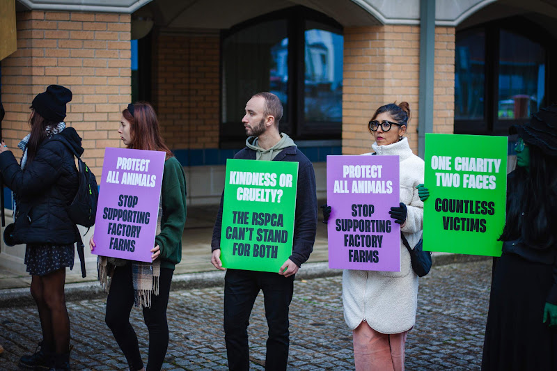 Protestors holding placards: 'Stop supporting factory farms'
