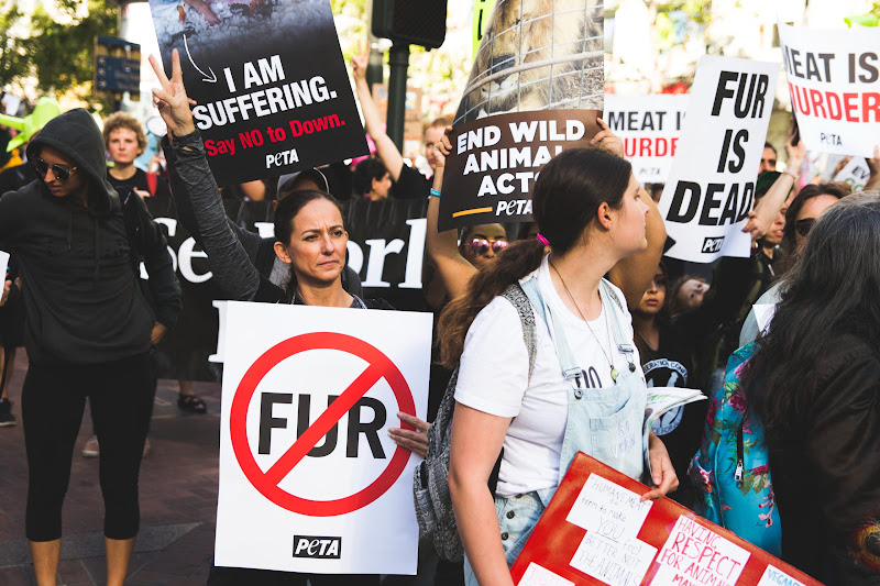 ALC Animal Rights March - San Francisco, USA