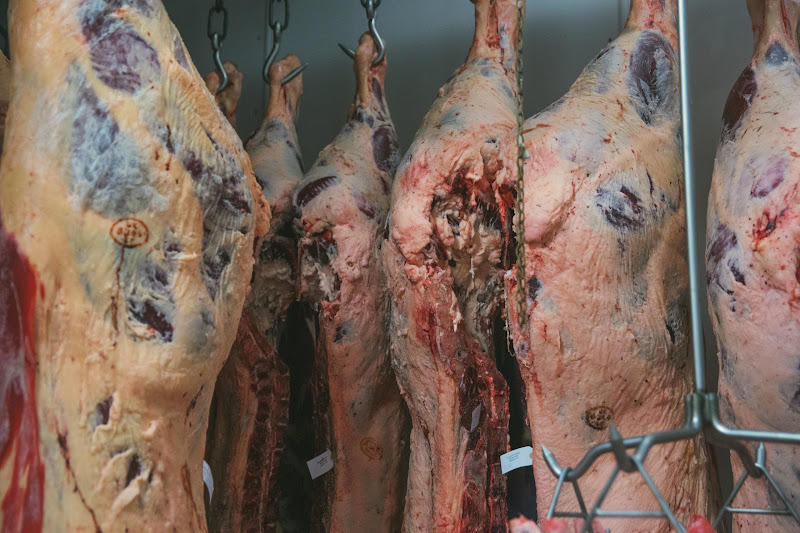Carcass Freezer - Tideford Slaughterhouse, Cornwall