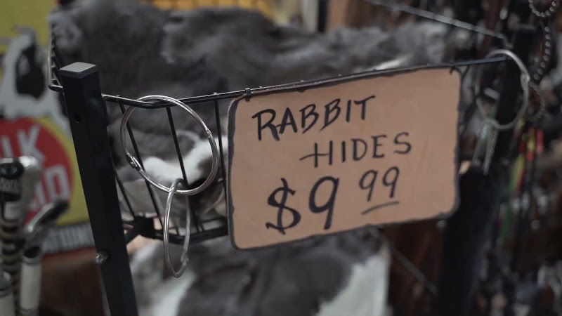 Rabbit Hides