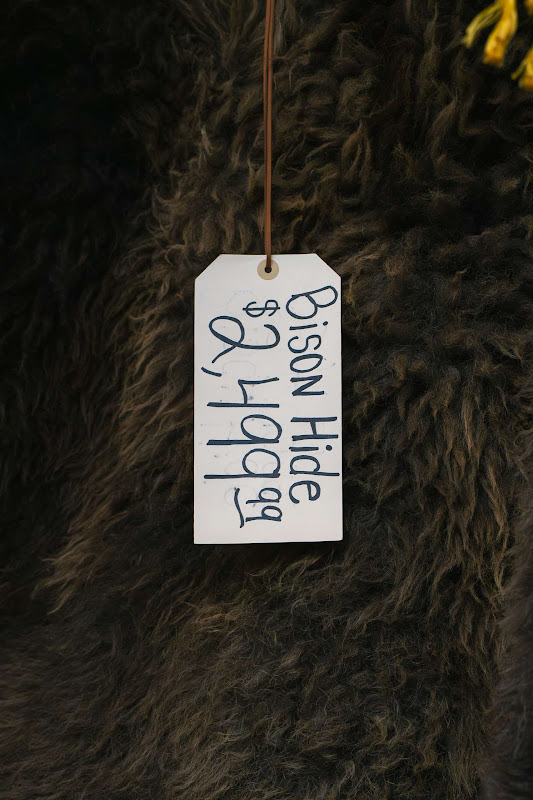 Bison Hide