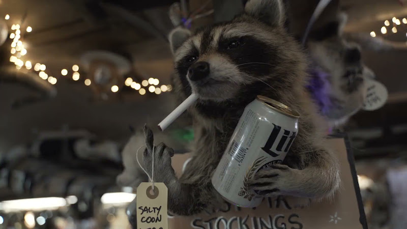 Smoking Racoon Taxidermy 