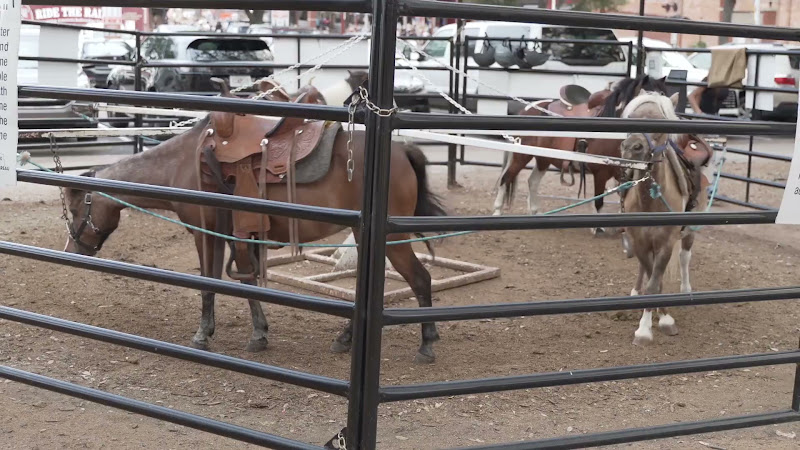 Pony Merry-Go-Around At Fort Worth Stockyards
