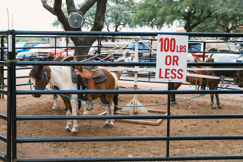 Ponies Attached To Merry-Go-Round