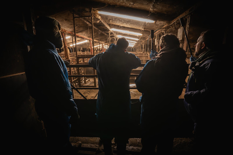 Activists look into Pig Farm