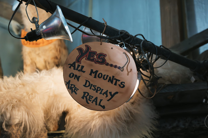 Real Mounts Sign