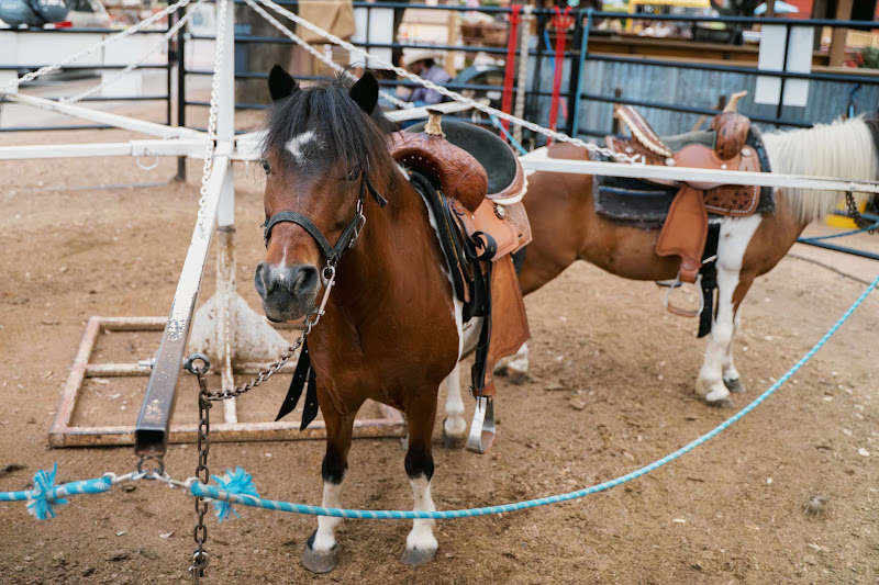 Pony Attached To Merry-Go-Round