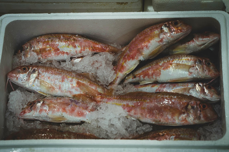 Fish at Billingsgate Fish Market, London