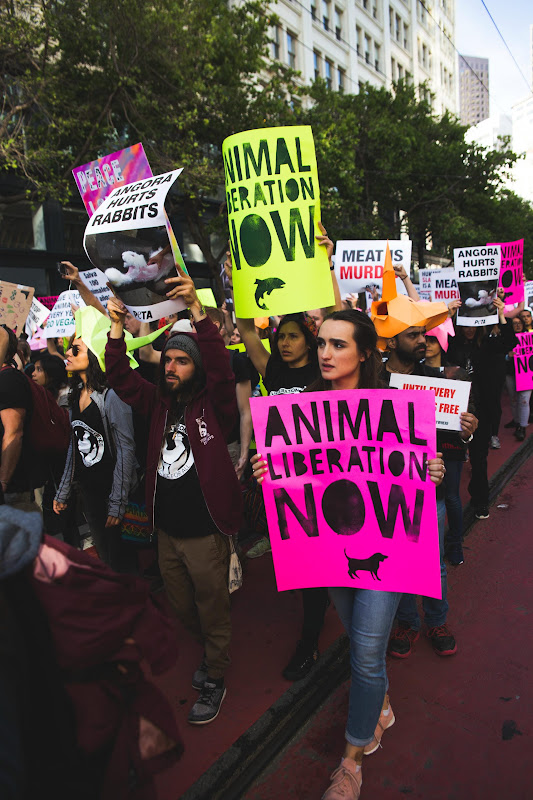 ALC Animal Rights March - San Francisco, USA